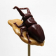 Illustration for article titled Japanese Candy Art is Just Precious